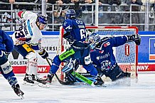 Eishockey, Men, DEL, Penny DEL, Hauptrunde Saison 2024-25, 5. Spieltag, Straubing Tigers - Eisbären Berlin, 01.10.2024