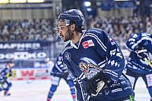 Eishockey, Herren, DEL, Saison 2020-2021, Straubing Tigers - EHC Red Bull München, 22.02.2021