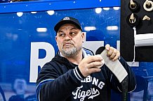 Eishockey, Herren, Penny DEL, Saison 2021-2022, 58. Spieltag, Straubing Tigers - Düsseldorfer EG,  23.03.2022