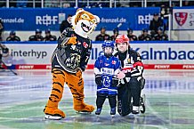 Eishockey, Herren, Penny DEL, 49. Spieltag, Saison 2023-2024, Straubing Tigers - Frankfurter Löwen,25.02.2024