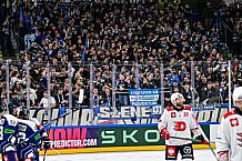 Eishockey, Men, CHL, Champions Hockey League, Regular Saison 2024-25, Game Day 4, Straubing Tigers - Dynamo Pardubice, 15.09.2024