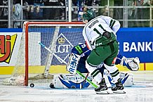 Eishockey, CHL, Champions Hockey League, 4. Spieltag, Saison 2022-2023, Gruppe F, Straubing Tigers - Färjestad BK Karlstad, 11.09.2022