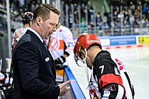 Eishockey, Herren, DEL, Saison 2021-2022, 39. Spieltag, Straubing Tigers - Grizzlys Wolfsburg,  18.02.2022