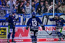 Eishockey, Herren, Penny DEL, Playoffs, Halbfinale, Spiel 4, Saison 2023-2024, Straubing Tigers - Eisbären Berlin, n07.04.2024