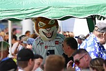 Eishockey, Herren, DEL, Saison 2021-2022, Straubing Tigers, 14.08.2021