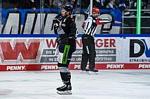Eishockey, Herren, DEL, Saison 2021-2022, 24.10.2021