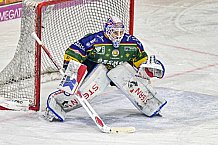 Herren, Eishockey, Oberliga-Sued, Saison 2023-2024, DEB, Deggendorfer SC - Heilbronner Falken, 28. Spieltag, 22.12.2023