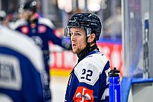 Eishockey, Men, CHL, Champions Hockey League, Regular Saison 2024-25, Game Day 2, Straubing Tigers - Skelleftea AIK, 08.09.2024