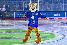 Eishockey, Herren, DEL, Saison 2022-2023, Hauptrunde, Straubing Tigers - Augsburger Panther, 128. Spieltag, 02.11.2022