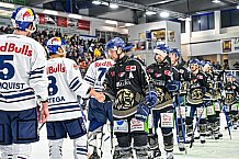 Eishockey, Herren, Penny DEL, 17. Spieltag, Saison 2023-2024, Straubing Tigers - EHC Red Bull Muenchen,03.11.2023