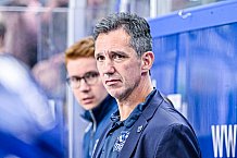 Eishockey, Herren, DEL, Penny DEL, Vorbereitung, Gäubodencup 2023, Saison 2023-2024, Straubing Tigers - Nürnberg Ice Tigers,18.08.2023