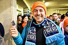 Eishockey, Herren, Penny DEL, DEL, Saison 2022-2023, Hauptrunde, Straubing Tigers - Kölner Haie, 57. Spieltag, 26.02.2023