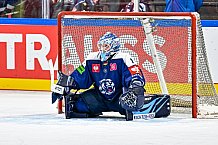 Eishockey, Men, CHL, Champions Hockey League, Regular Saison 2024-25, Game Day 4, Straubing Tigers - Dynamo Pardubice, 15.09.2024