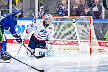 Eishockey, Men, DEL, Penny DEL, Hauptrunde Saison 2024-25, 8. Spieltag, Straubing Tigers - Adler Mannheim, 11.10.2024