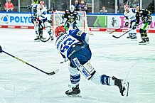 Eishockey, Herren, Penny DEL, 16. Spieltag, Saison 2023-2024, Straubing Tigers - Schwenninger Wild Wings,31.10.2023