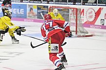 Herren, Eishockey, Oberliga-Süd, DEB, Saison 2024-2025, Deggendorfer SC - Tölzer Löwen, 22.09.2024