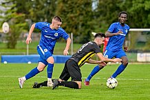 Fußball, Herren, Landesliga Mitte, BFV, TSV Bogen - ASV Burglengenfeld, 13. Spieltag, Saison 2023-2024, 30.09.2023