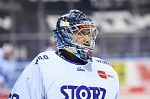 Eishockey, Herren, DEL, Saison 2020-2021, Straubing Tigers - Schwenninger Wild Wings, 17.02.2021