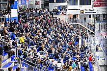 Eishockey, Herren, DEL, Penny DEL, Saison 2023-2024, Straubing Tigers, öffentliches Eistraining,06.08.2023