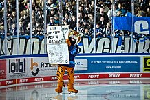 Eishockey, Herren, DEL, Saison 2021-2022, Playoff, Viertelfinale, Spiel 1, Straubing Tigers - Adler Mannheim, 09.04.2022