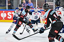 Eishockey, Men, CHL, Champions Hockey League, Regular Saison 2024-25, Game Day 1, Straubing Tigers - SonderjyskE Vojens, 06.09.2024
