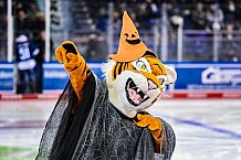 Eishockey, Herren, DEL, Saison 2021-2022, 29.10.2021