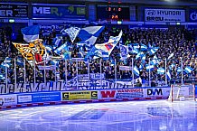 Eishockey, Herren, Penny DEL, Playoffs, Viertelfinale, Spiel 1, Saison 2023-2024, Straubing Tigers - Schwenninger Wild Wings,16.03.2024