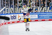 Eishockey, Men, DEL, Penny DEL, Hauptrunde Saison 2024-25, 5. Spieltag, Straubing Tigers - Eisbären Berlin, 01.10.2024