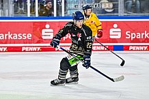 Eishockey, Herren, Penny DEL, 20. Spieltag, Saison 2023-2024, Straubing Tigers - Duesseldorfer EG,19.11.2023