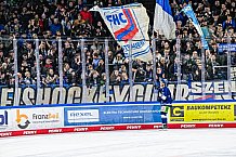Eishockey, Herren, Penny DEL, 29. Spieltag, Saison 2023-2024, Straubing Tigers - Schwenninger Wild Wings,21.12.2023
