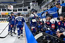 Eishockey, Men, CHL, Champions Hockey League, Regular Saison 2024-25, Game Day 4, Straubing Tigers - Dynamo Pardubice, 15.09.2024