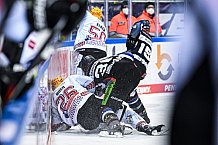 Eishockey, Herren, DEL, Saison 2020-2021, Straubing Tigers - Fishtown Pinguins Bremerhaven, 21.03.2021