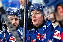 Eishockey, Herren, Penny DEL, 40. Spieltag, Saison 2023-2024, Straubing Tigers - Augsburger Panther,21.01.2024