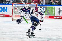Eishockey, Herren, Penny DEL, Playoffs, Halbfinale, Spiel 4, Saison 2023-2024, Straubing Tigers - Eisbären Berlin, n07.04.2024