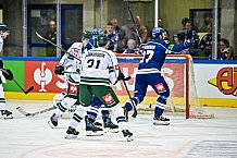 Eishockey, CHL, Champions Hockey League, 4. Spieltag, Saison 2022-2023, Gruppe F, Straubing Tigers - Färjestad BK Karlstad, 11.09.2022