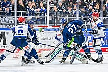 Eishockey, Herren, Penny DEL, Playoffs, Viertelfinale, Spiel 3, Saison 2023-2024, Straubing Tigers - Schwenninger Wild Wings,22.03.2024
