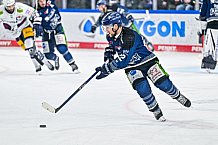 Eishockey, Herren, Penny DEL, Playoffs, Halbfinale, Spiel 4, Saison 2023-2024, Straubing Tigers - Eisbären Berlin, n07.04.2024