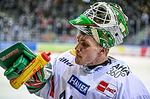 Eishockey, Herren, DEL, Saison 2021-2022, 25. Spieltag, Straubing Tigers - Augsburger Panther,  20.02.2022
