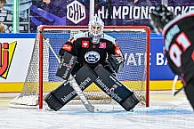Eishockey, Men, CHL, Champions Hockey League, Regular Saison 2024-25, Game Day 1, Straubing Tigers - SonderjyskE Vojens, 06.09.2024