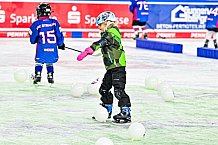 Eishockey, Men, DEL, Penny DEL,  Straubing Tigers - Kids on Ice, 28.09.2024