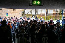 Eishockey, Herren, DEL, Saison 2021-2022, Playoff, Viertelfinale, Spiel 1, Straubing Tigers - Adler Mannheim, 10.04.2022
