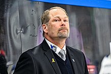 Eishockey, Herren, Penny DEL, Playoffs, Viertelfinale, Spiel 7, Saison 2023-2024, Straubing Tigers - Schwenninger Wild Wings,30.03.2024