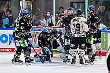 Eishockey, Herren, Penny DEL, 47. Spieltag, Saison 2023-2024, Straubing Tigers - Koelner Haie,18.02.2024