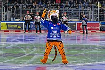 Eishockey, Herren, Penny DEL, Playoffs, Viertelfinale, Spiel 1, Saison 2023-2024, Straubing Tigers - Schwenninger Wild Wings,16.03.2024