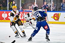 Eishockey, Men, CHL, Champions Hockey League, Regular Saison 2024-25, Game Day 2, Straubing Tigers - Skelleftea AIK, 08.09.2024