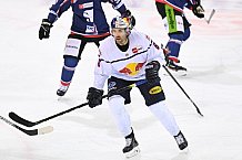 Eishockey, Herren, DEL, Saison 2020-2021, Straubing Tigers - EHC Red Bull München, 22.02.2021