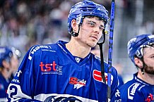 Eishockey, Herren, DEL, Penny DEL, Vorbereitung, Gäubodencup 2023, Saison 2023-2024, Straubing Tigers - Nürnberg Ice Tigers,18.08.2023