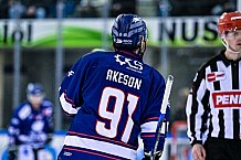 Eishockey, Herren, Penny DEL, DEL, Saison 2022-2023, Playoffs, Viertelfinale, Spiel 5, Straubing Tigers - Grizzlys Wolfsburg, 24.03.2023