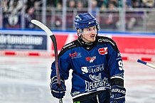 Eishockey, Herren, Penny DEL, Playoffs, Halbfinale, Spiel 2, Saison 2023-2024, Straubing Tigers - Eisbären Berlin, n03.04.2024