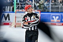 Eishockey, Men, DEL, Penny DEL, Hauptrunde Saison 2024-25, 1. Spieltag, Straubing Tigers - Düsseldorfer EG, 20.09.2024